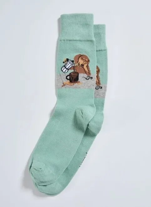 meia verde cachorro café meia verde cachorro café